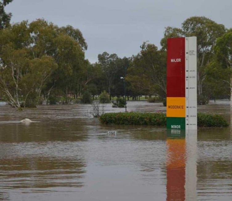 Flooded park — Plumbing Contractors in Brisbane, QLD